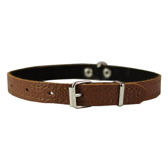 Dogs My Love Genuine Leather Felt Padded Dog Collar Fits 9"-12" Neck