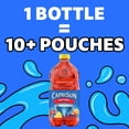 thumbnail image 4 of Capri Sun Fruit Punch Flavored Juice Drink Blend, 64 oz Bottle, 4 of 19