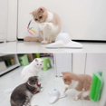 thumbnail image 5 of Indoor Interactive Cat Toy with 360 Rotating Butterfly (Green), 5 of 5