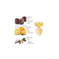 thumbnail image 3 of Bcbg Max Azria Bon Chic 2 Pcs Set( 3.4oz Edp Spray+ 6.7 oz Body Lotion), 3 of 4