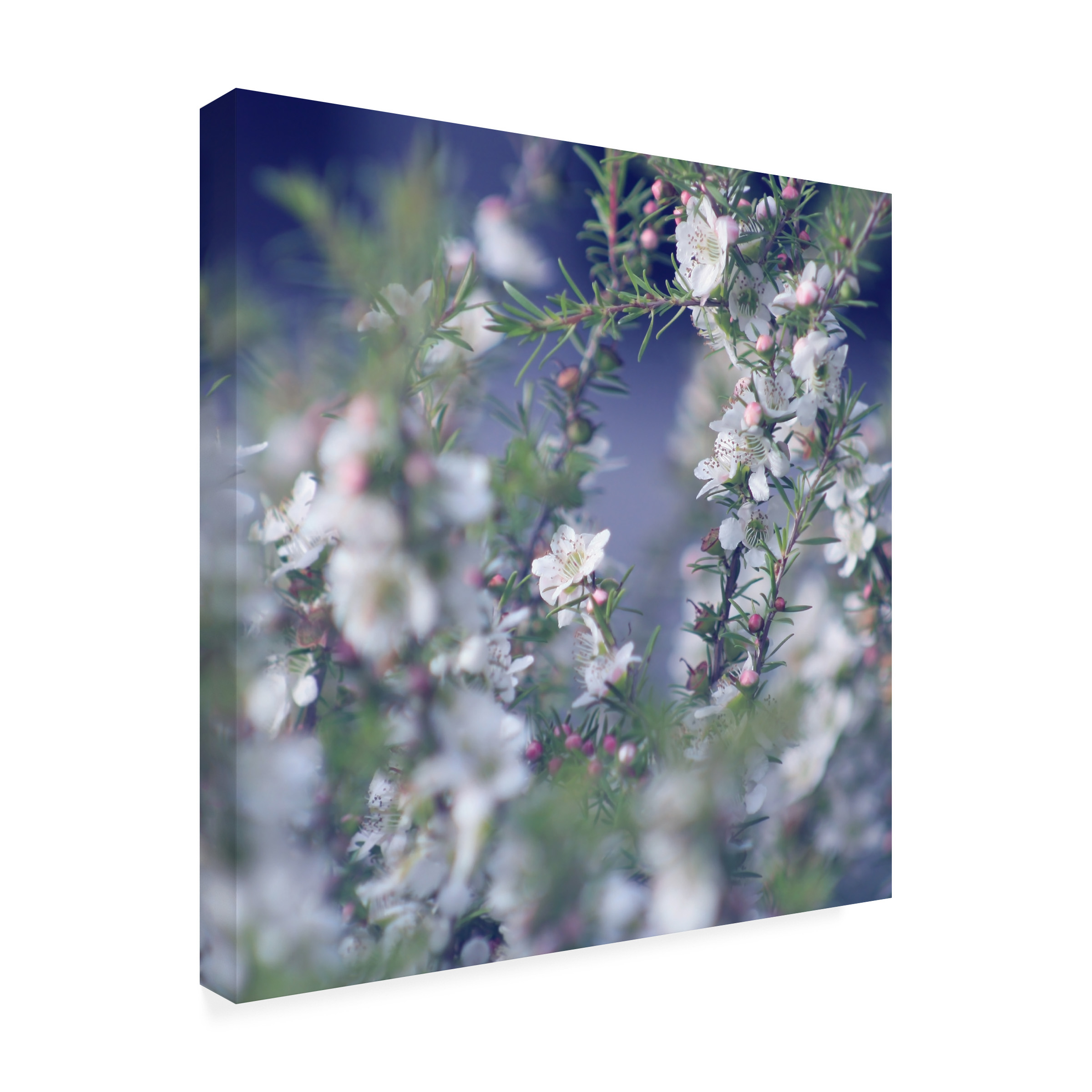 Trademark Fine Art "When You're in Her Garden" Canvas Art by Beata Czyzowska