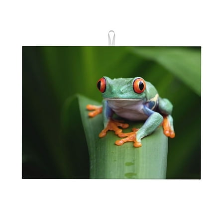 

Cauagu Dish Drying Mat 24*18 inch Absorbent Dish Drainer Kitchen Counter Dish Drying Pad for Countertops Sinks Draining Racks( Red-Eyed Tree Frog)