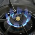 thumbnail image 4 of TEHAUX 6Ud Accesorios De Para De Gas Con Núcleos Centrales Y Distribuidores, 4 of 8