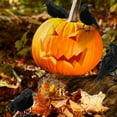thumbnail image 3 of Decoración de cuervo decoración del hogar simulación de Halloween modelo de cuervo 6 piezas plumas negras para interior ANGGREK Otros, 3 of 8