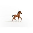 thumbnail image 5 of Schleich Horse Club Oldenburger Foal, 5 of 6