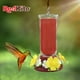 thumbnail image 4 of Alimentador Bebedero De Vidrio Red Kite Para Colibrí 600ml FL9250, 4 of 4
