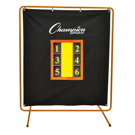 Pro Ice Pitchers Kit - Pro Pitchers Screen With Stand