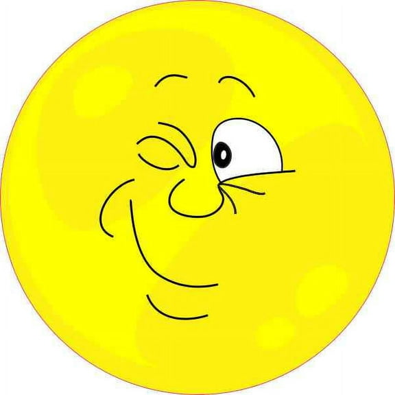 4in X 4in Winking Face Sticker Car Bumper Stickers Funny Vinyl Cup Decal