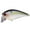 Pearl Threadfin Shad, variant on Lucky Craft LC 2.5SSR Super Shallow Waking Squarebill Crankbait
