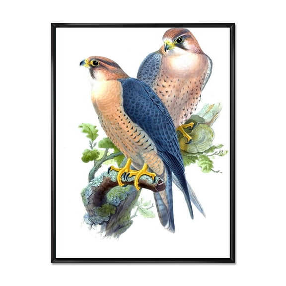 Ancient Birds II 12 in x 20 in Framed Painting Canvas Art Print, by Designart
