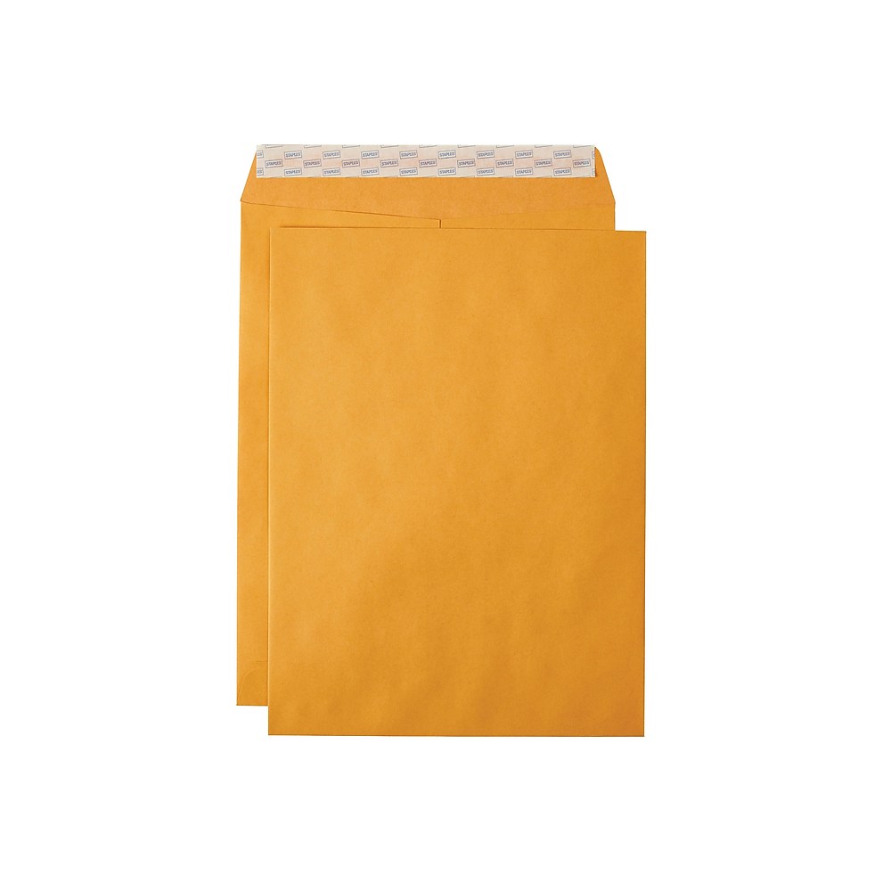 Staples EasyClose Catalog Envelopes 9"L x 12"H Brown 100/Box (381970/