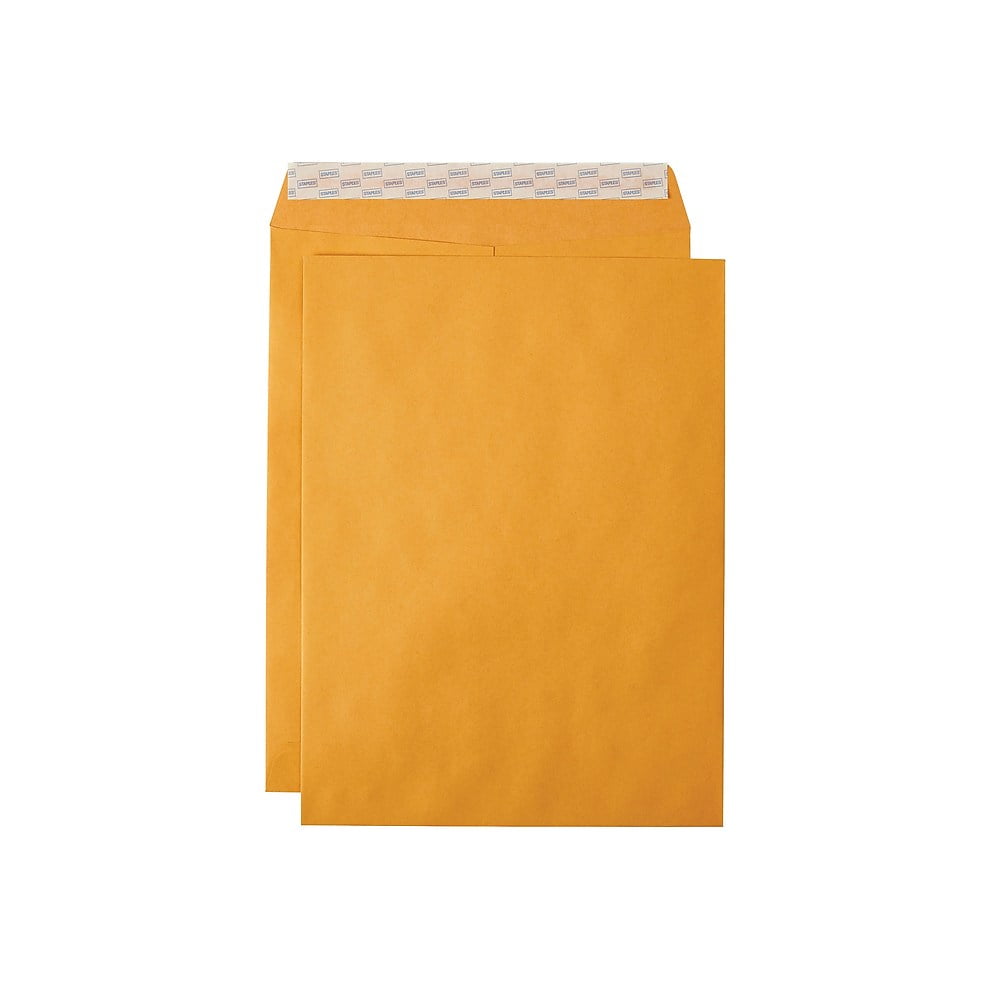 Staples EasyClose Catalog Envelopes 9"L x 12"H Brown 100/Box (381970/