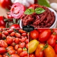 thumbnail image 4 of 2 Pack Paste Tomato Seed Collection - Roma, San Marzano - Full Sun Annual Vegetable, 4 of 7