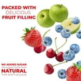 Fruit Bars Variety Pack, HHA1 2 oz. each (12 Pack) Apple Cinnamon
