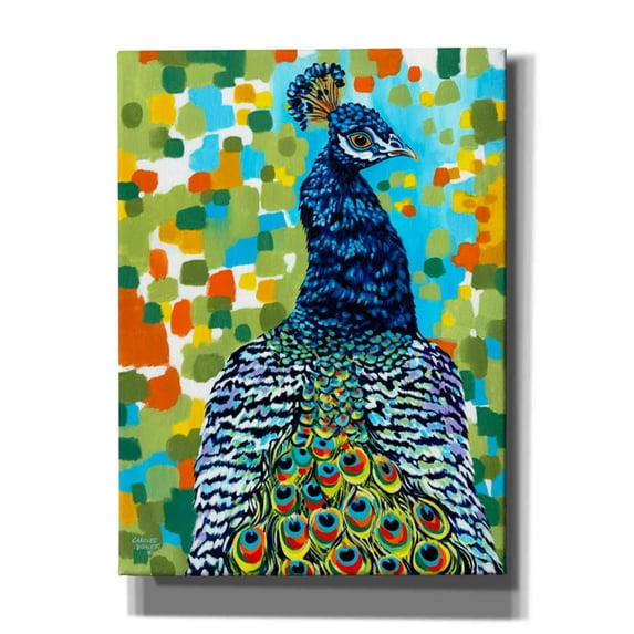 Epic Graffiti 'Plumed Peacock II' by Carolee Vitaletti, Canvas Wall Art, 40"x54"