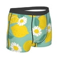 thumbnail image 3 of Haiem Lemons Chamomile Flowers And Leaves Men's Boxer Briefs, Every Day Comfort Stretch Cotton Moisture-Wicking Underwear-X-Large, 3 of 9