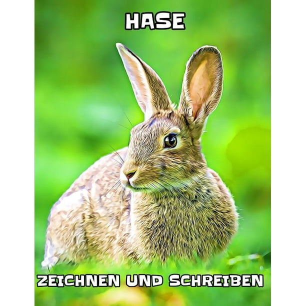 Hase Zeichnen Und Schreiben Paperback Walmart Com Walmart Com