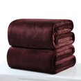 thumbnail image 3 of 70x100cm Soft Micro Plush Fleece Blanket Sofa Throw Rug Travel Warm Blankets Rose red 70 * 100cm, 3 of 8