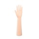 thumbnail image 5 of Mano de maniquí femenina, accesorio fotográfico, modelo de mano extendida Mano izquierda, 5 of 9