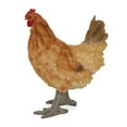 thumbnail image 6 of Alpine Corporation Polyresin Standing Orange Hen Statuary, 6 of 15