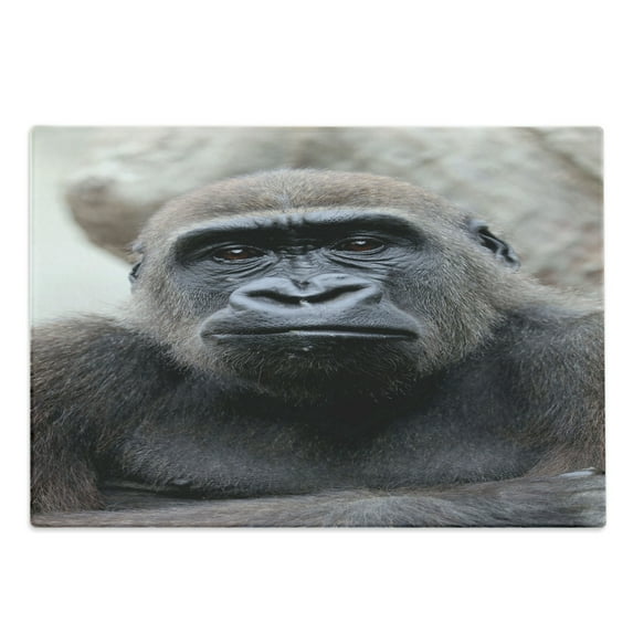 Gorilla Cutting Board, Close up Image of a Young Male Creature, Decorative Tempered Glass Cutting and Serving Board, in 3 Sizes, by Ambesonne