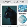 thumbnail image 3 of Diamond Art Kit for Adults, Black Cat Profile Green Eyes Diamond Painting for Adults Beginners, 5D DIY Diamond Art Painting Kits, Colorful Diamond Painting Craft for Home Decor 12x16, 3 of 7