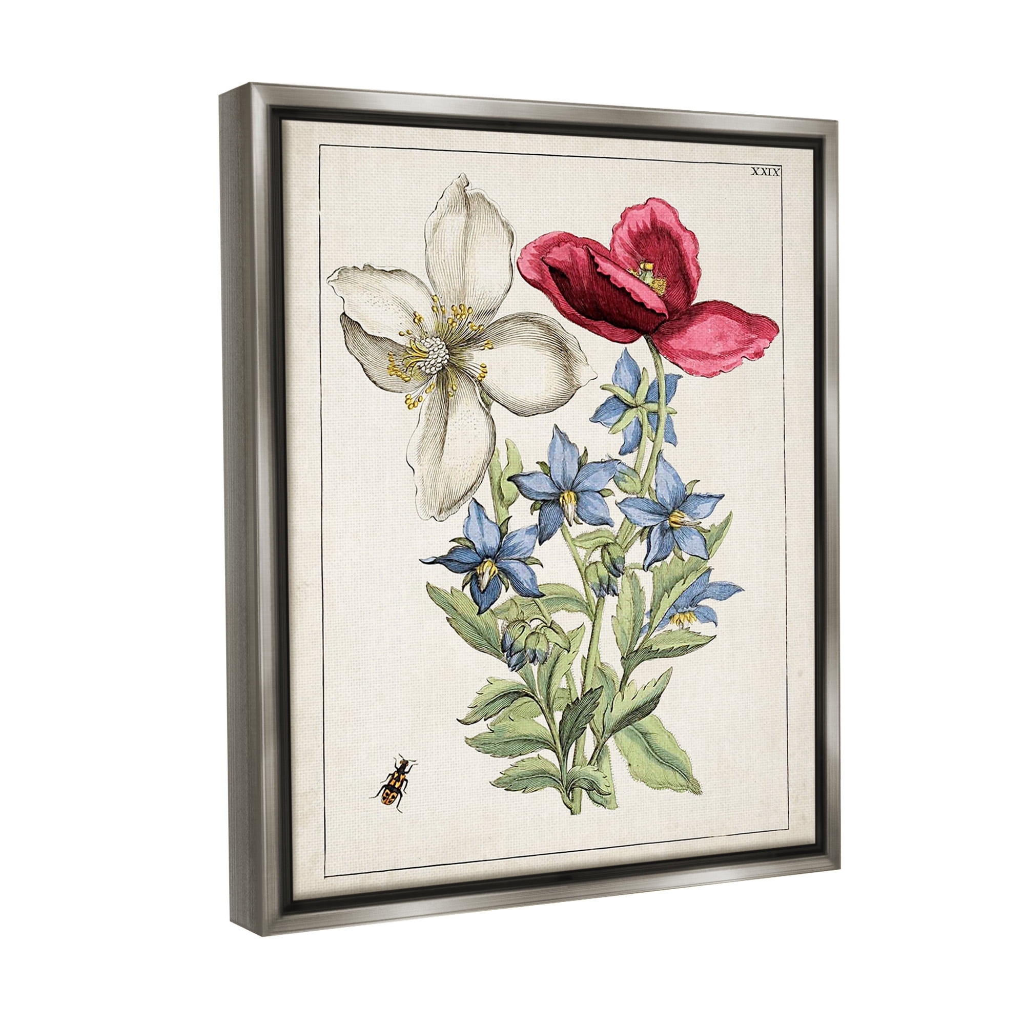 Stupell Industries Vintage Beetle & Flowers Botanical & Floral Painting Gray Floater Framed Canvas Art Print Wall Art, 17 x 21