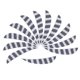 thumbnail image 3 of 12 piezas 3 " pavo flecha tiro con Fletching para Blanco Sunnimix Flechas Flechas, 3 of 8