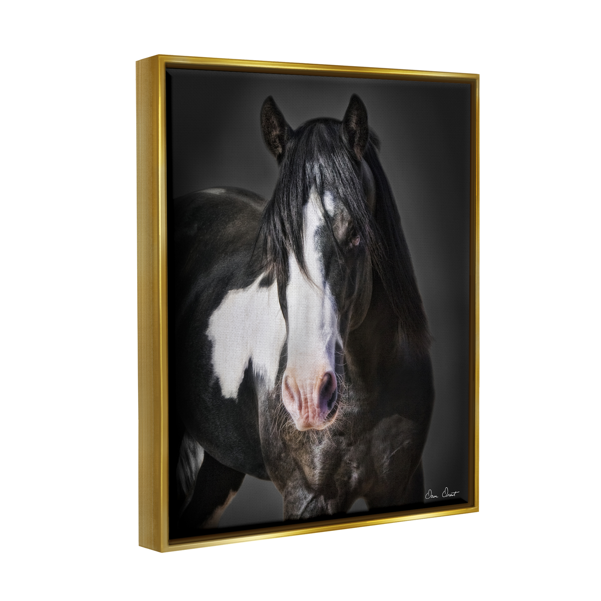 Stupell Industries Black & White Horse Animals & Insects Photography Gold Floater Framed Canvas Art Print Wall Art, 25 x 31