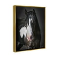 thumbnail image 4 of Stupell Industries Black & White Horse Animals & Insects Photography Gold Floater Framed Canvas Art Print Wall Art, 25 x 31, 4 of 10