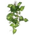 thumbnail image 4 of IFANLANDOR Lizard Box Plants Decor Fake Plant Ornament Light Green Plastic 1Pack, 4 of 7