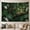 B, variant on XaaKee, Dark Emerald Canopy Tapestry, Wildlife Realism Jungle Landscape Wall Tapestry, High-Quality Polyester Bedroom Tapestry, 60x40Inch