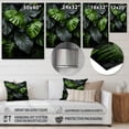 thumbnail image 4 of Designart "Foliage in the Dominican Tropics II" Beach Metal Art Living Room, 4 of 5