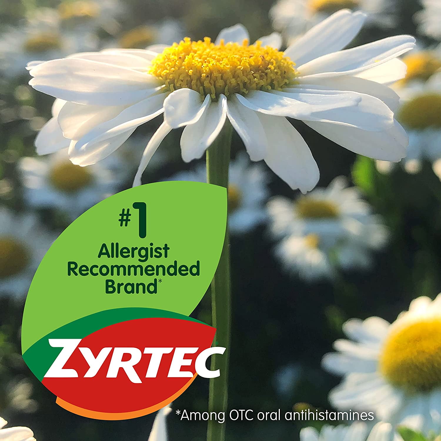 Zyrtec Allergy 10 mg Tablets 14 Ct. (Pack of 4)