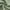 7.Sage Green, variant on Inosoo Faux Linen Fabric Square Tablecloth, 52x52 Inch for Small Square or Round Tables, Waterproof & Washable, Dark Gray