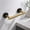 Brushed Gold & Matte Black, variant on Toilet Paper Holder Wall Mount, Stainless Steel Rustproof Double Post Pivoting Tissue Roll Dispenser for Bathroom, Commercial Chrome Modern Round