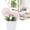 Light Pink(1PCS), variant on Garloy Artificial Mums Flowers In Vase Faux Chrysanthemum Silk Flowers Potted Plant Fake Plants & Flowers With Pot Floral Arrangements Bouquets Flower Home Decor Small Fake Plants Pink 1 Pack 4.7"x2"