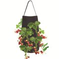 thumbnail image 1 of Labymos 15 x 9 Inch Strawberry Grow Bags with 8 Grow Holes Hanging Planter Box, 1 of 8