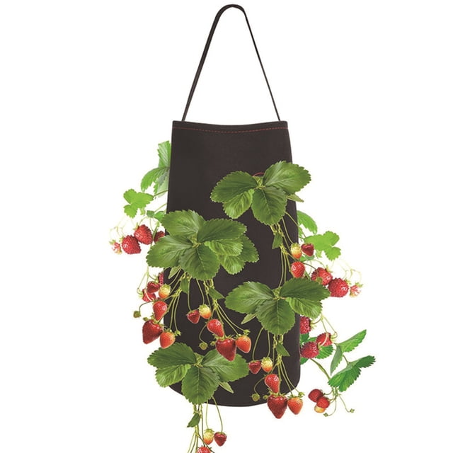 Labymos 15 x 9 Inch Strawberry Grow Bags with 8 Grow Holes Hanging Planter Box
