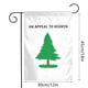 thumbnail image 3 of AhfuLife Banderines de la Bandera Palestina, banderines de Palestina de Doble Cara de 10 m para Decoraciones de jardín Interiores y Exteriores en el hogar, 3 of 9
