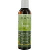 Aroma Naturals Body Oil T Tree Eucpts 6 FZ (Pack of 1)