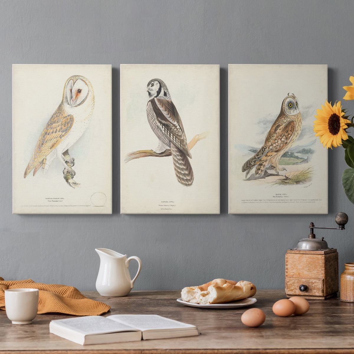 Barn Owl Premium Gallery Wrapped Canvas - Ready to Hang - 18 x 27 Each
