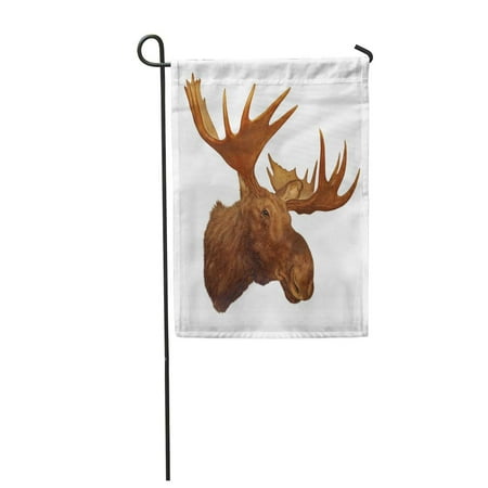 Moose Trophy Antler - LADDKE Taxidermy Moose Head Antler Isolated on White Background Trophy Garden Flag Decorative Flag House Banner 12x18 inch