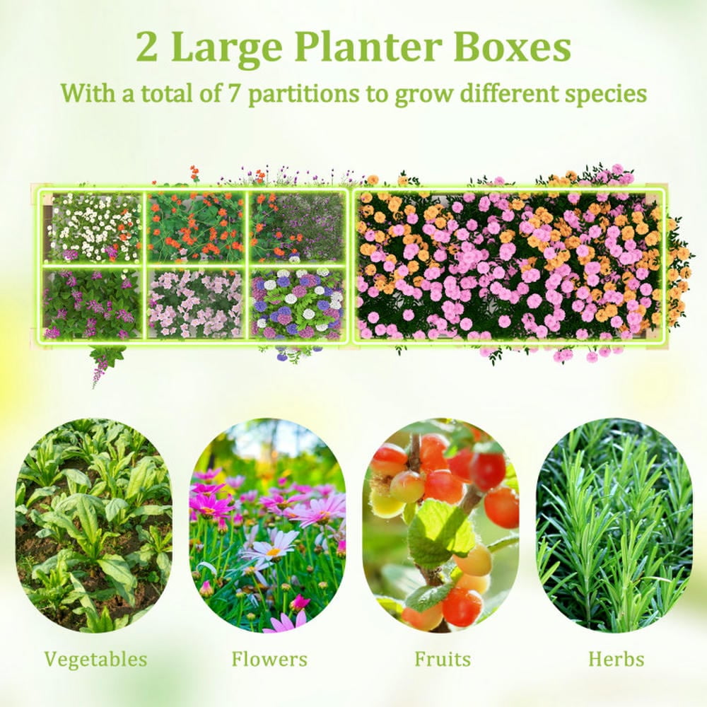 GVN Planter Garden Boxes Outdoor,Wooden Raised Garden Bed with 2 Planter Boxes and Dividers-Natural