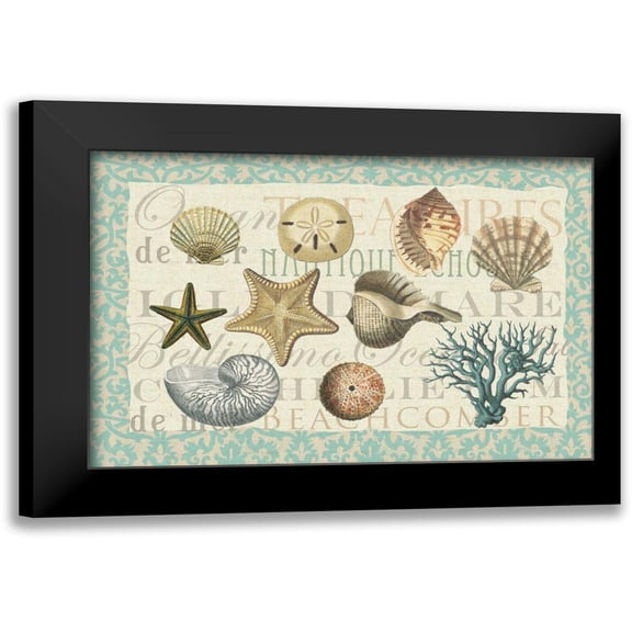 Allen, Candace 14x11 Black Modern Framed Museum Art Print Titled - Sea Shell Collection