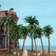 thumbnail image 1 of unbranded 25Ud Detallados De Árboles Cocos Para Paisajismo En De Arena Verde, 1 of 8