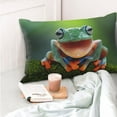thumbnail image 4 of Honeii Tree Frog Print Pillow Cases,Plush Throw Pillow Covers,Decorative Pillowcase for Sofa, Couch, Living Room-14"x20", 4 of 6