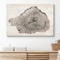 thumbnail image 3 of IDEA4WALL Adhesive Canvas Wall Art Minimal Wood Tree Ring Log Retro Art Rustic Duotone Abstract Print Nature Wilderness Photography Art Relax/Calm for Living Room, Bedroom, Office - 24"x36", 3 of 5