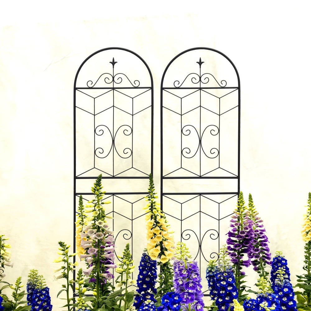 Tcbosik 2 Pack Garden Trellis for Climbing Plants Outdoor, 71" x 19.7" Metal Trellis for Vine Vegetable Flower Ivy Cucumber, Black