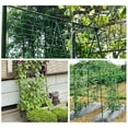 thumbnail image 5 of Plastic Heavy Duty Garden Trellis Netting Vegetables(2 X 10m, Green), 5 of 5